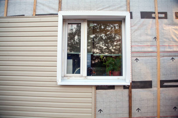 Best Hoarding Cleanup  in Willard, UT