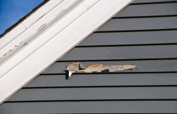 Best Demolition Debris Removal  in Willard, UT